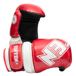 Pointfighter TOP TEN Glossy "BLOCK"